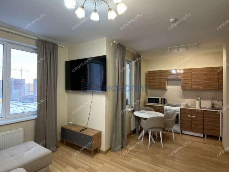 однокомнатная квартира на Русской улице улице дом 5 деревня Анкудиновка