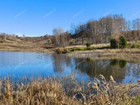 derevnya-shvariha-bogorodskiy-municipalnyy-okrug фото