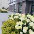 однокомнатная квартира на улице Маковского дом 25