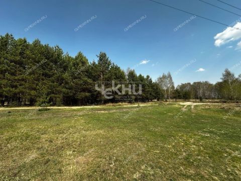 dom-derevnya-lapino-gorodskoy-okrug-bor фото