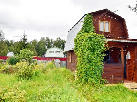 dacha-gorod-balahna-balahninskiy-municipalnyy-okrug фото