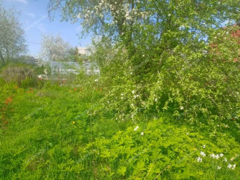 дача на улице 40 лет Победы