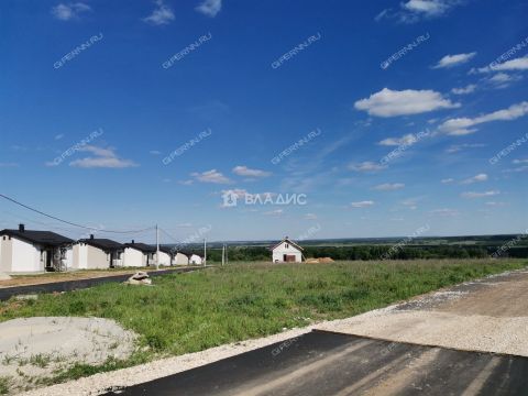 selo-efimevo-bogorodskiy-municipalnyy-okrug фото