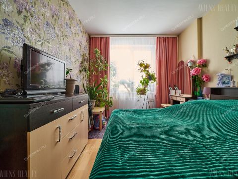 3-komnatnaya-derevnya-ankudinovka-kstovskiy-rayon фото