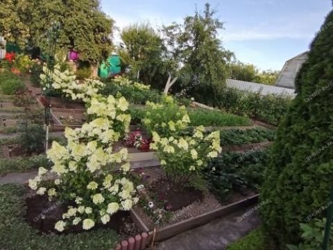 dacha-snt-nadezhda фото