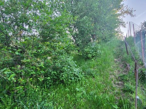 dacha-gorod-kstovo-kstovskiy-rayon фото