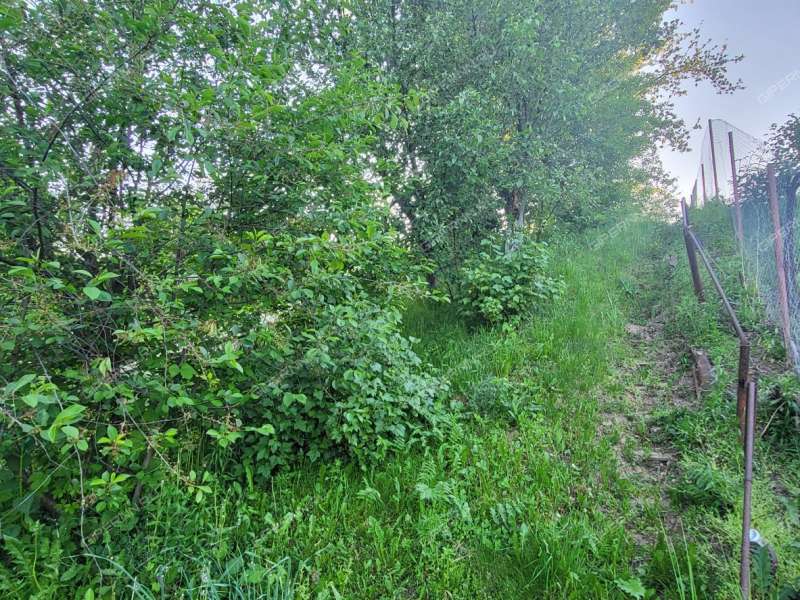 дача на СНТ Волга тер. город Кстово