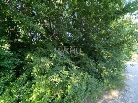 rabochiy-poselok-sokolskoe-sokolskiy-gorodskoy-okrug фото