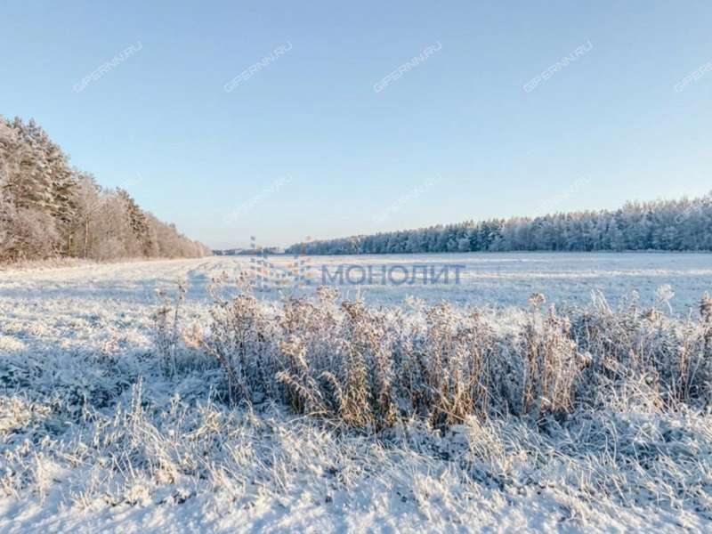 земельный участок 70 соток Цветаевой улица село Каменки