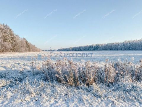 selo-kamenki-bogorodskiy-municipalnyy-okrug фото