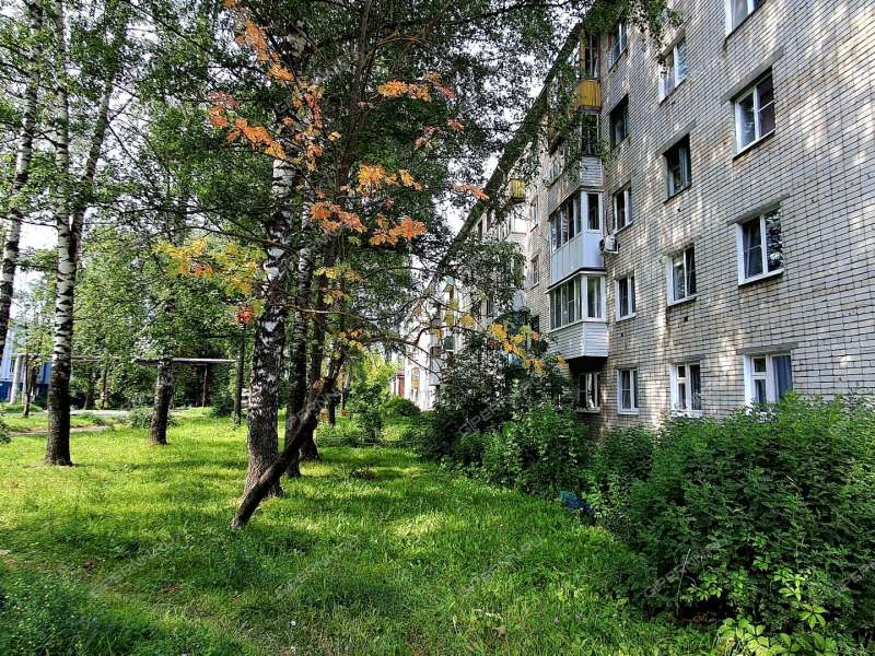 однокомнатная квартира на улице Пушкина дом 18 город Богородск