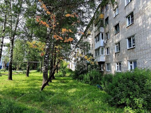 1-komnatnaya-gorod-bogorodsk-bogorodskiy-municipalnyy-okrug фото