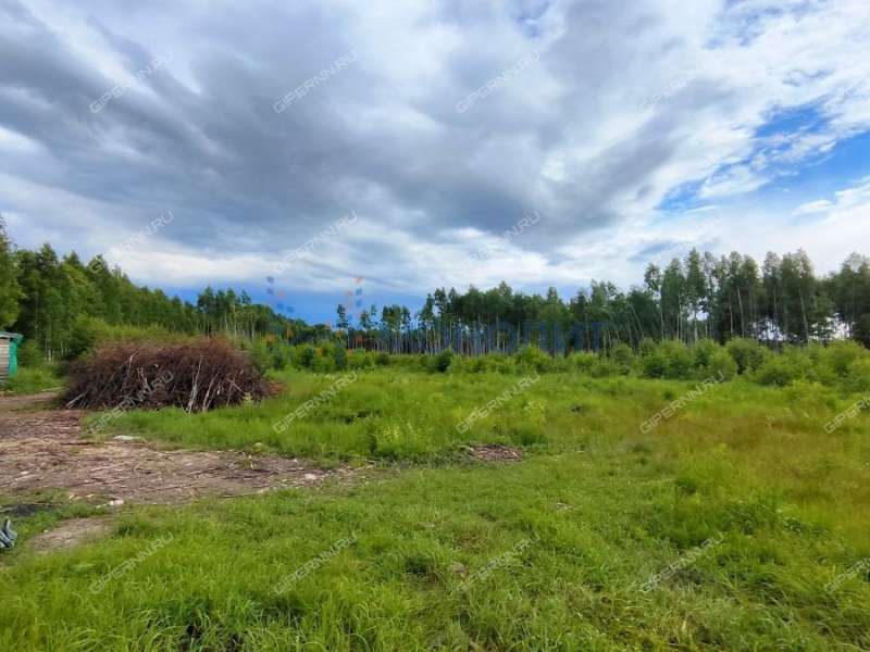 земельный участок под сельхоз назначение в городском округе Сокольский Нижегородской области