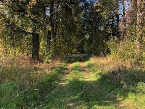 dom-derevnya-drozdovo-gorodskoy-okrug-bor фото