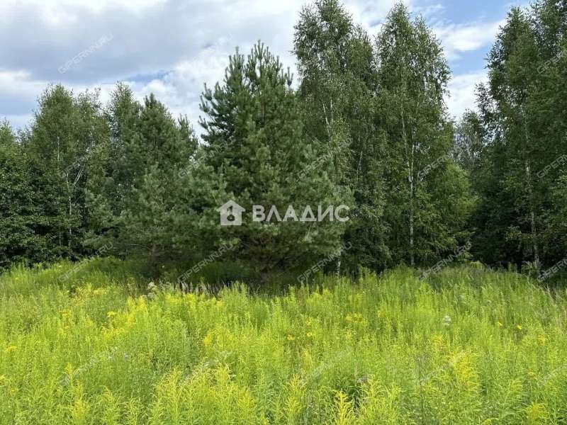 земельный участок 11,5 сотки деревня Чуркино