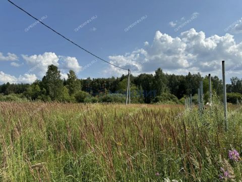 derevnya-nepecino-bogorodskiy-municipalnyy-okrug фото