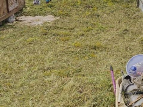 derevnya-shumilovo-bogorodskiy-municipalnyy-okrug фото