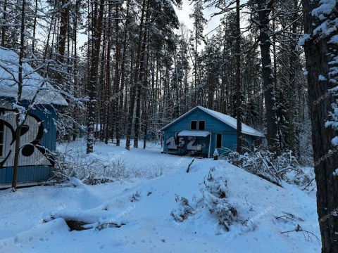 derevnya-syrohvatovo-gorodskoy-okrug-bor фото