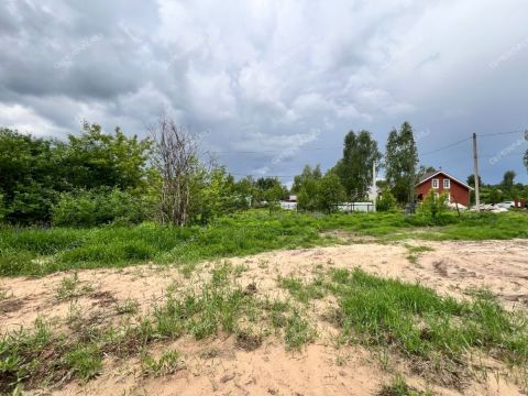derevnya-zabore-gorodskoy-okrug-bor фото