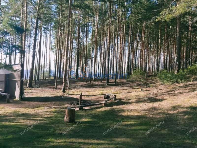 дом на - деревня Губцёво