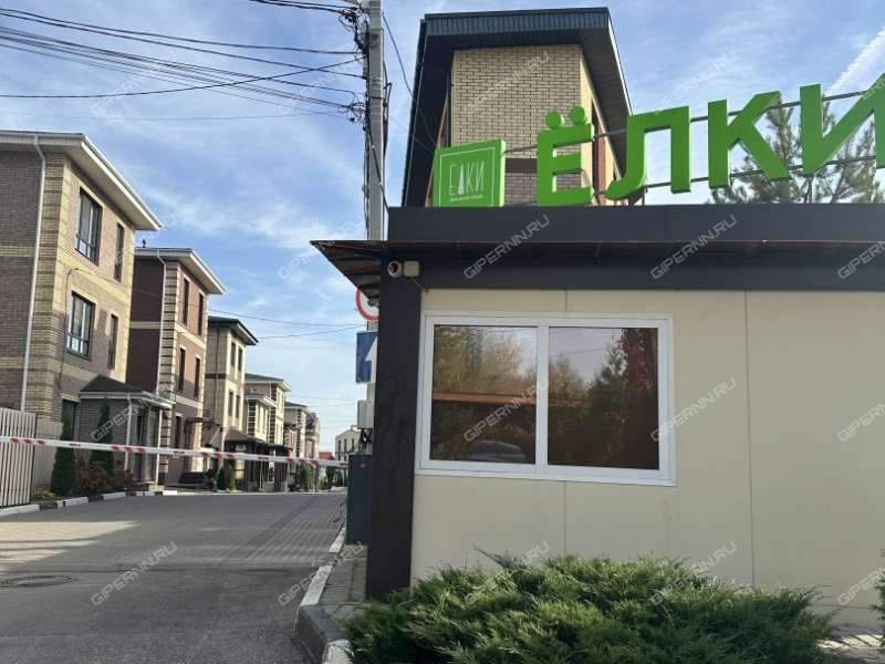 дом в деревне Новая