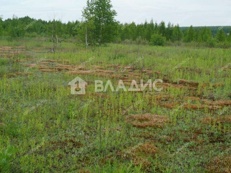 земельный участок 10 соток Жемчужная улица коттеджный посёлок Ландыши