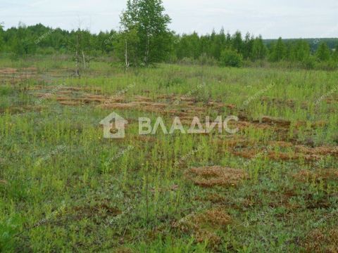 derevnya-inyutino-bogorodskiy-municipalnyy-okrug фото