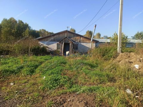 selo-redkino-gorodskoy-okrug-bor фото