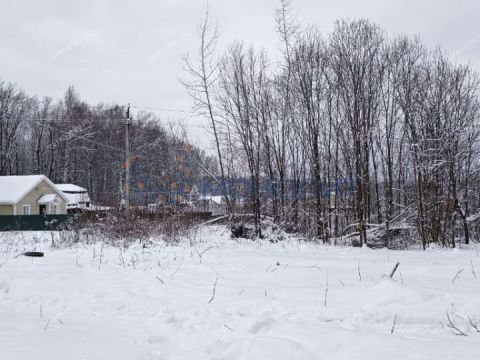 snt-stroitel-bogorodskiy-municipalnyy-okrug фото