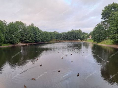 1-komnatnaya-poselok-berezovaya-poyma-ul-frezeristov-d-5 фото