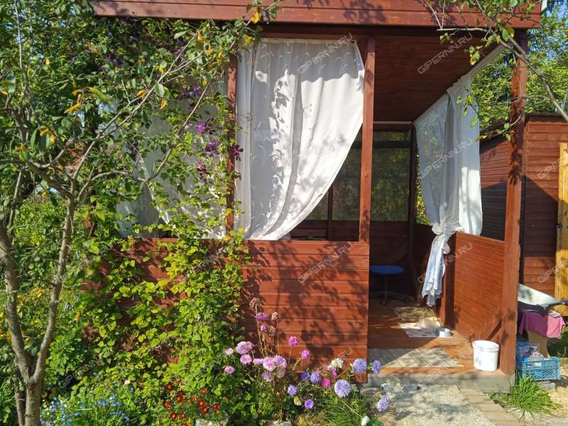 дача на СНТ Надежда