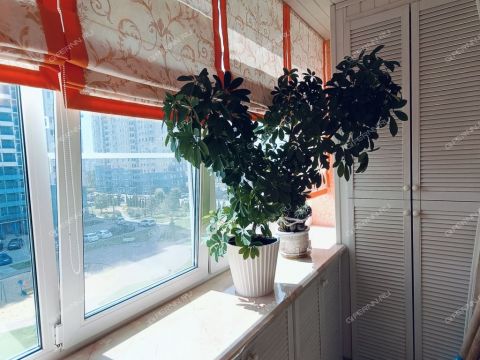 1-komnatnaya-ul-yanki-kupaly-d-40 фото