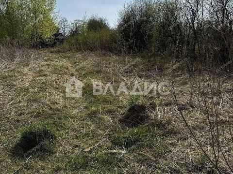 derevnya-ankudinovka-kstovskiy-rayon фото