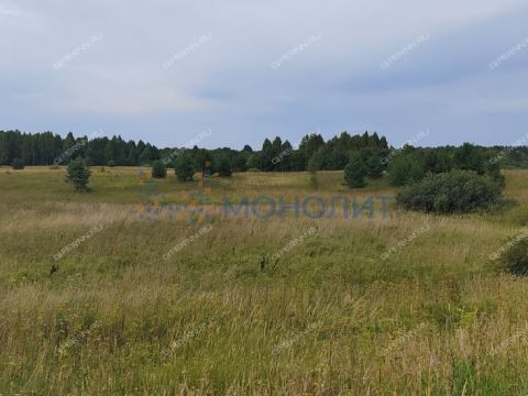 derevnya-ionovka-bogorodskiy-municipalnyy-okrug фото