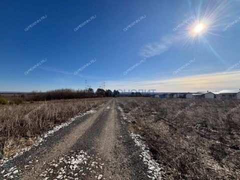 selo-ostankino-ostankinskiy-selsovet-gorodskoy-okrug-bor фото