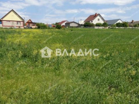 selo-ostankino-gorodskoy-okrug-bor фото