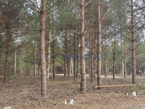 ivanovskoe-sloboda-gorodskoy-okrug-bor фото