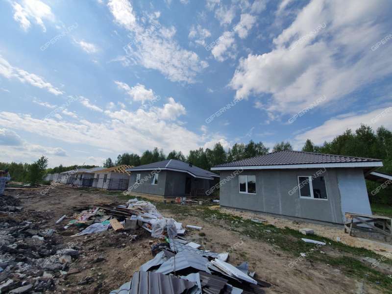 дом на Героя Демина ул. деревня Пруды