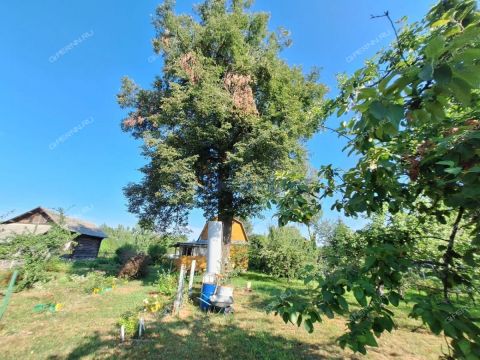 dom-derevnya-maloe-sodomovo-kantaurovskiy-selsovet-gorodskoy-okrug-bor фото