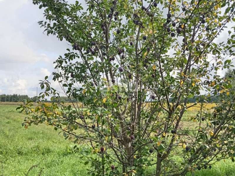 дом на  деревня Бутаково