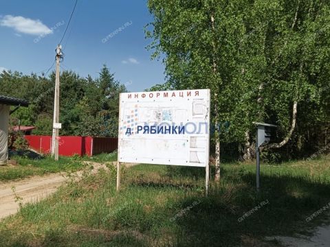 derevnya-ryabinki-gorodskoy-okrug-bor фото