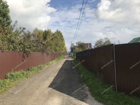 zolotoe-runo-derevnya-ogolihino-ter-snt-gorodskoy-okrug-bor фото
