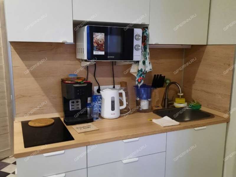 квартира-студия на улице Красная Поляна дом 4 деревня Афонино