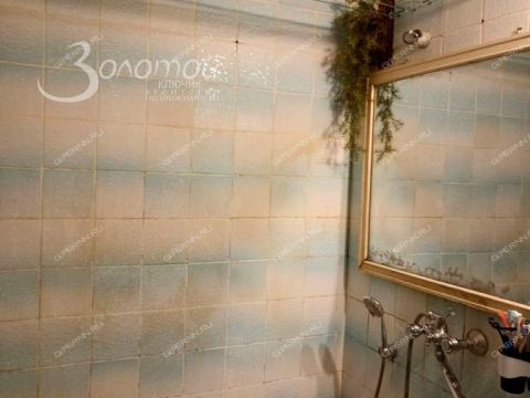 3-komnatnaya-ul-avtomehanicheskaya-d-15a фото