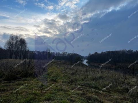 derevnya-fefeliha-sokolskiy-gorodskoy-okrug фото