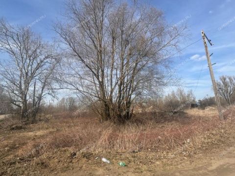 poselok-centralnyy-bogorodskiy-municipalnyy-okrug фото