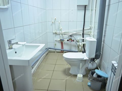 derevnya-vypolzovo-bogorodskiy-municipalnyy-okrug фото