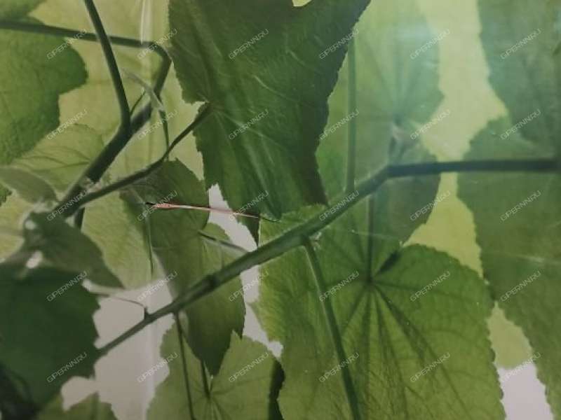 трёхкомнатная квартира на Чонгарской улице дом 20