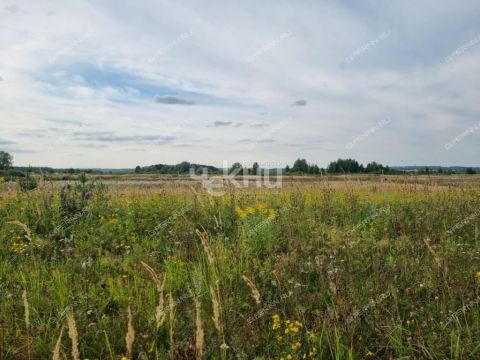 derevnya-kubaevo-bogorodskiy-municipalnyy-okrug фото