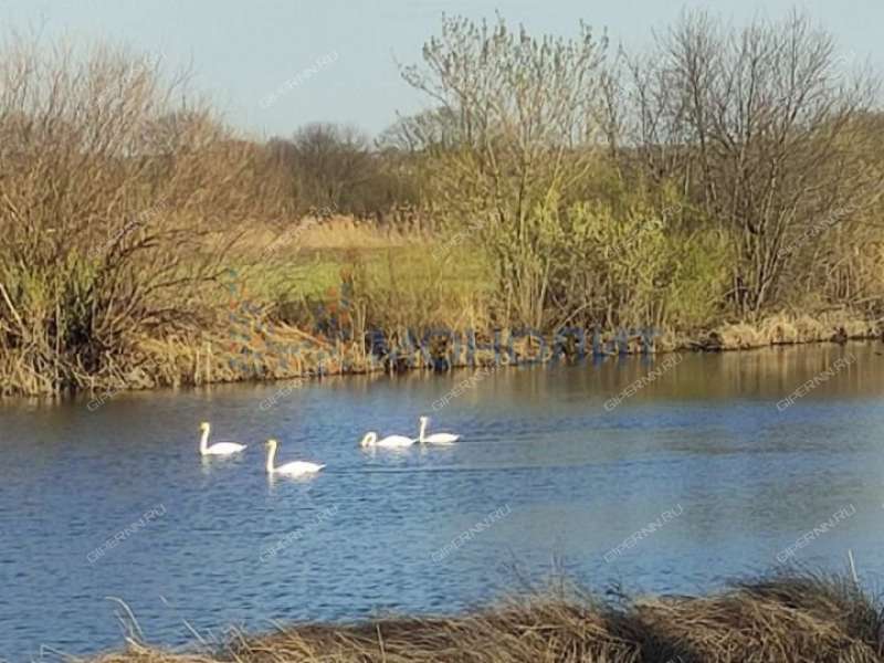 земельный участок 15 соток - деревня Ржавка